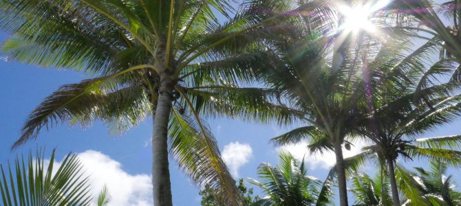 Tuvalu – paradise on earth, may 2016!